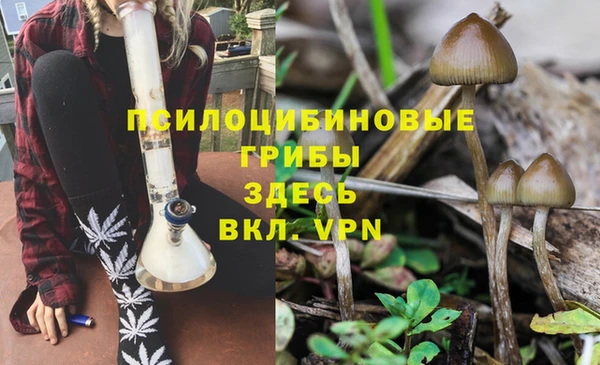 PSILOCYBIN Балахна